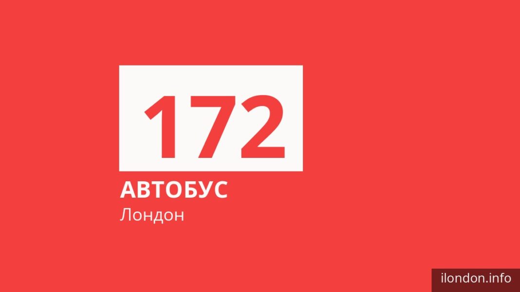 Автобус 172 в Лондоне