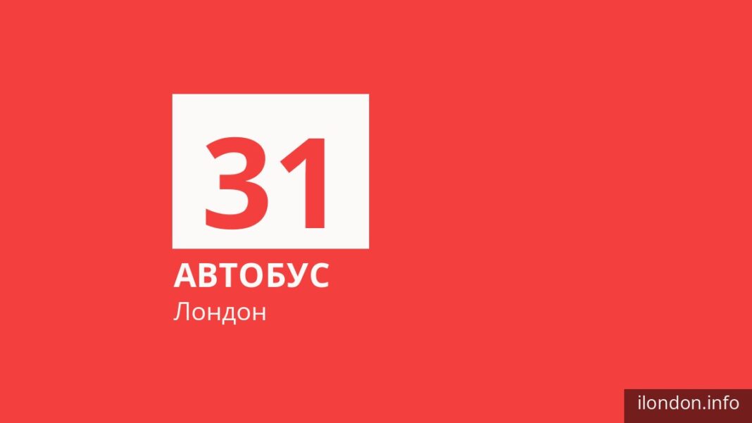 Автобус 31 в Лондоне