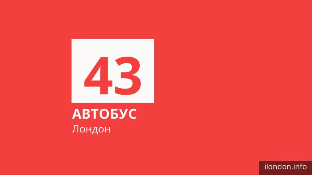 Автобус 43 в Лондоне