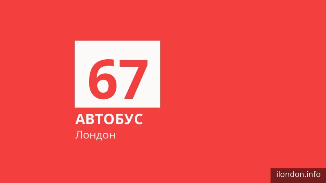 Автобус 67 в Лондоне