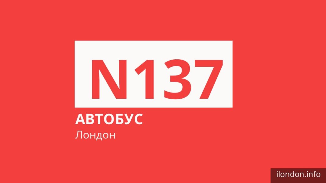Нічний автобус N137 у Лондоні