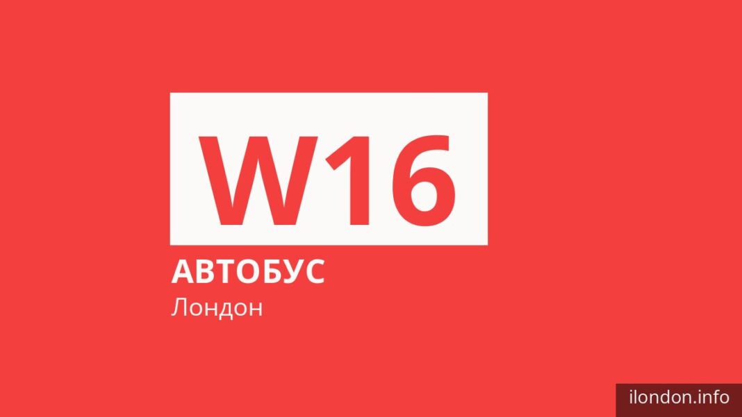 Автобус W16 в Лондоне