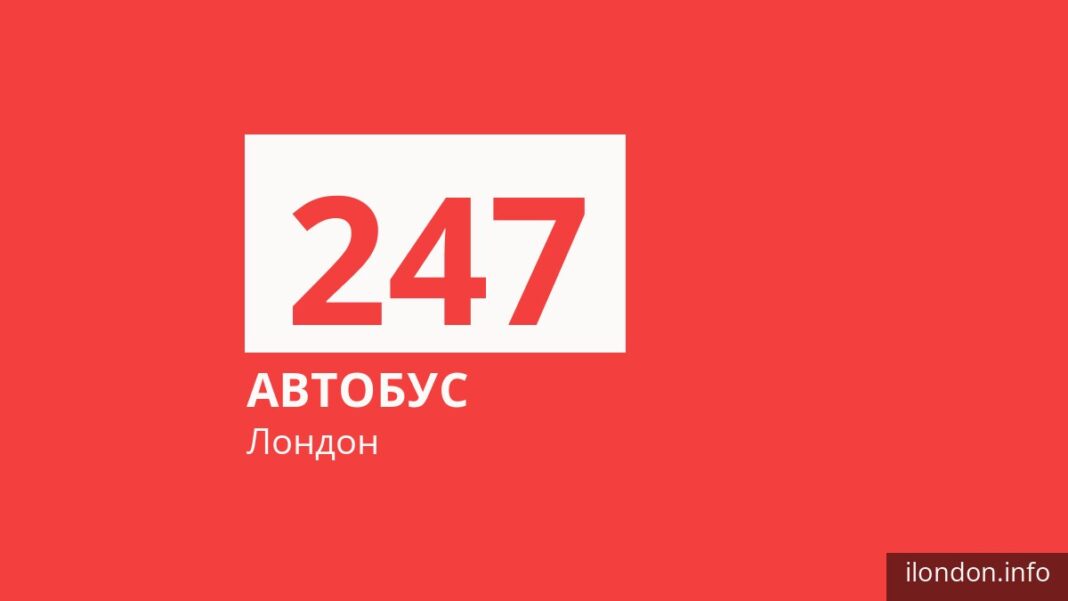 Автобус 247 у Лондоні