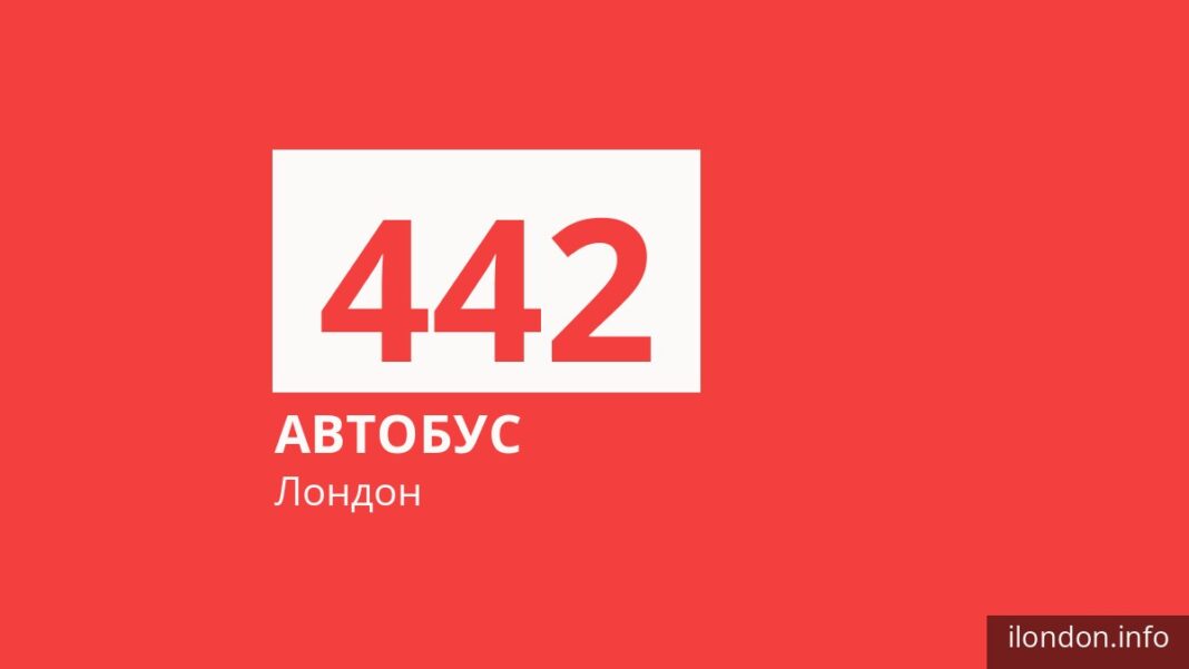 Автобус 442 в Лондоне