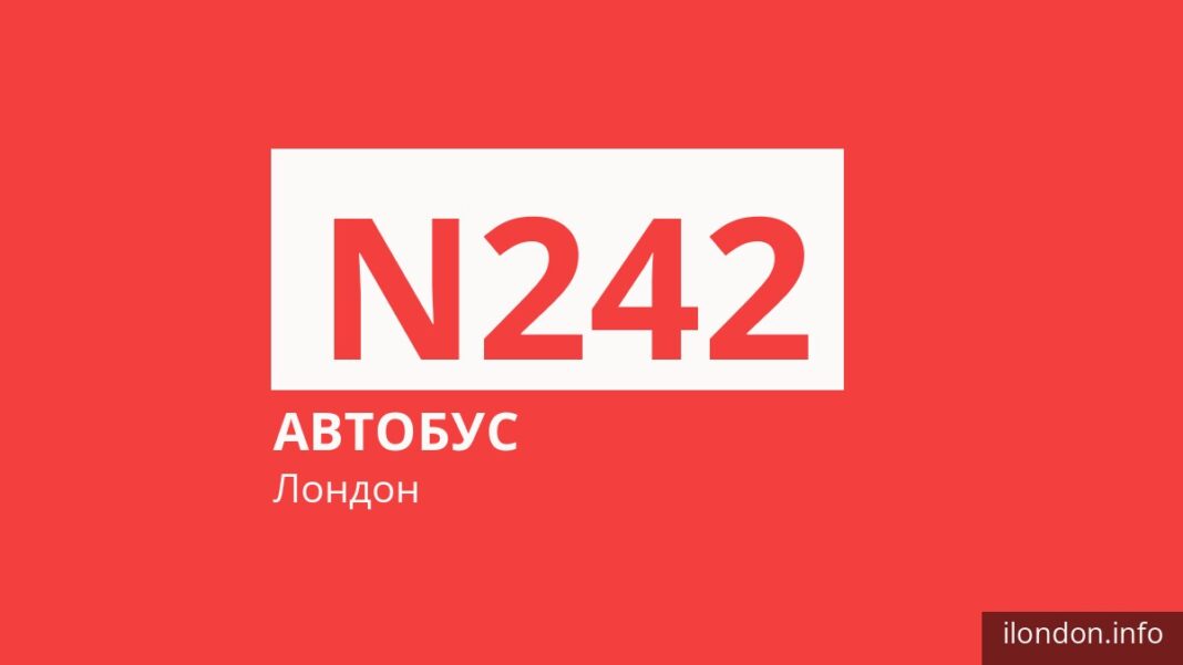 Ночной автобус N242 в Лондоне
