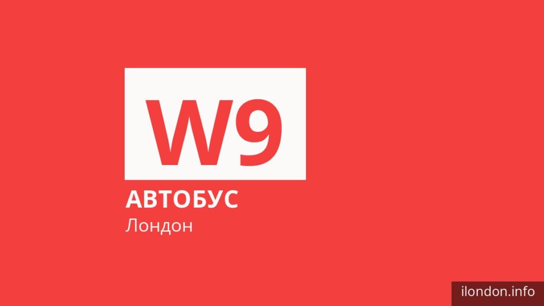 Автобус W9 в Лондоне