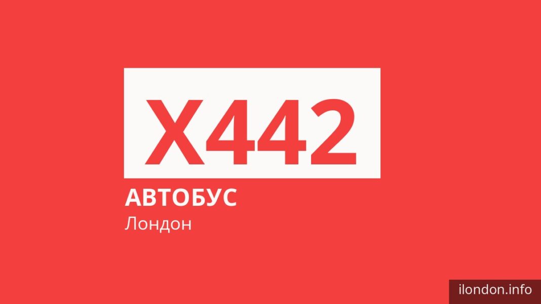 Автобус X442 в Лондоне